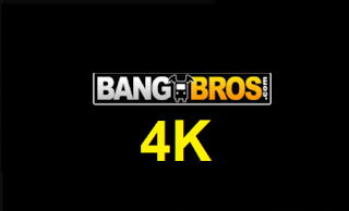 BANGBROS 4K | + EXTRA SUBS | + 1 YEAR WARRANTY